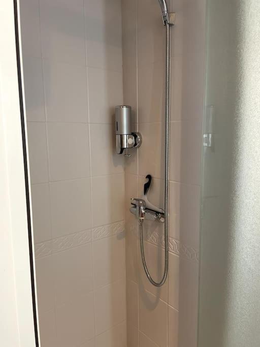 101 Pyrenees Palace Appartement Bagnères-de-Luchon Dış mekan fotoğraf